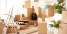 Movers & Packers