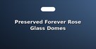 Preserved Forever Rose Glass Domes