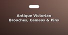 Antique Victorian Brooches, Cameos & Pins