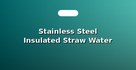 Stainless Steel Insulated Straw Water Bottles