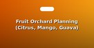 Fruit Orchard Planning (Citrus, Mango, Guava)